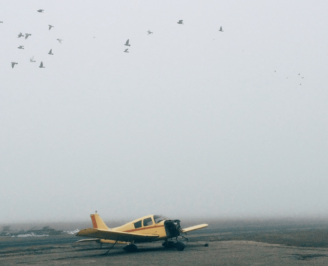   A foggy morning in Lodi, CA (K1O3)  