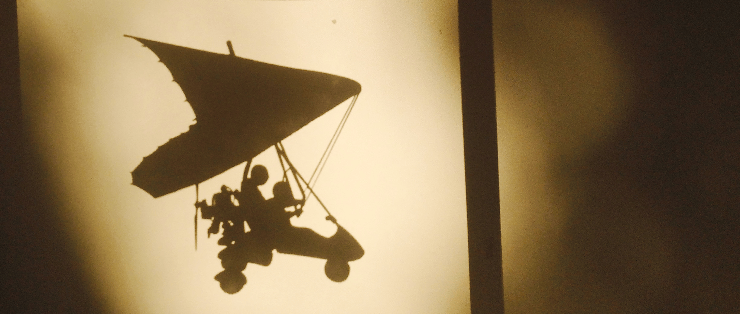 Some shadow puppetry on my window.